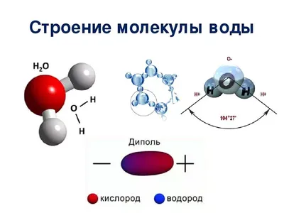 Молекулярная структура воды: суть и особенности