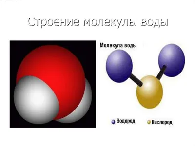 ➜ Вода – важная молекула для жизни - Формула воды