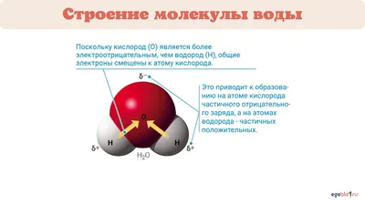 Молекула воды Векторное изображение ©radub85 26136687