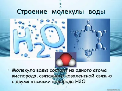 Молекула воды под микроскопом» — создано в Шедевруме