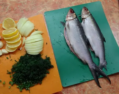 О'Море - МОЛОЧНАЯ РЫБА Молочная рыба или Ханос – океаническая крупная рыба  семейства лучеперых, водится в Тихом и Индийском океанах, является  диетическим продуктом. Мясо молочной рыбы белого цвета и довольно приятное  на