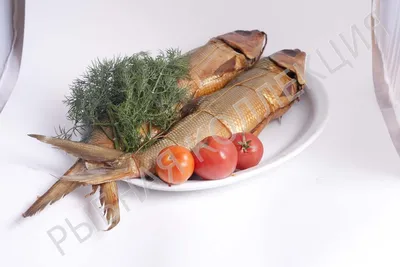 Замороженная рыба − купить оптом, цена рыбы мелким оптом в Москве для  ресторанов, кафе, баров