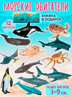 Книга: \"Забавные морские животные\". Купить книгу, читать рецензии | ISBN  978-5-86415-576-9 | Лабиринт