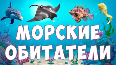 Модели морских животных, морские существа, игрушки, многоразовые морские  животные, фигурки, морские существа, модели для мальчиков, девочек, детей |  AliExpress