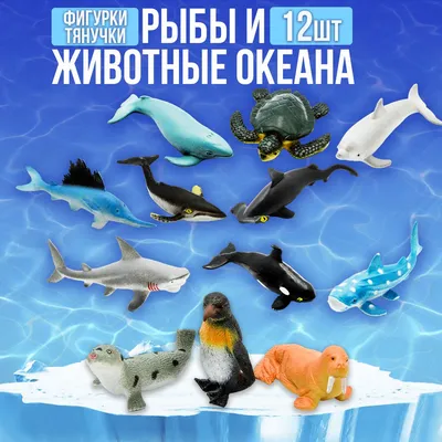 Морские животные картинки для детей | Животные, Водные животные,  Аквариумные рыбки