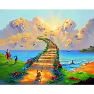 Rainbow Bridge (pets) | Myth and Folklore Wiki | Fandom