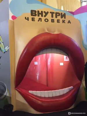 Экскурсия «Внутри Человека» на ВДНХ в Москве | Smile-Park