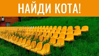 Игра найди кота | Удоба - бесплатный конструктор образовательных ресурсов