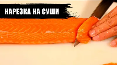 Массовый мор рыбы начался в Амуре (ФОТО; ВИДЕО) — Новости Хабаровска