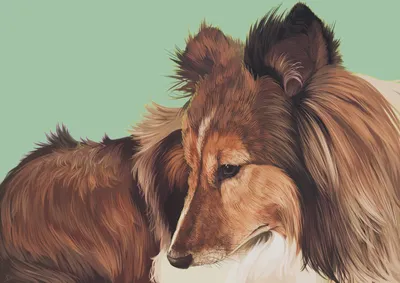Потрясающие иллюстрации нарисованных собак для использования в качестве фона