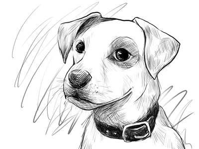 Искусные нарисованные собаки в формате jpg, png и webp