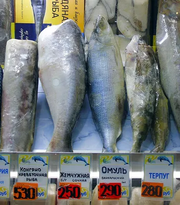 🐟Самая вкусная рыба в мире | ТОП 10