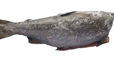 Нерка тушка свежемороженая » Свежемороженая » По приготовлению » Рыба Якутии