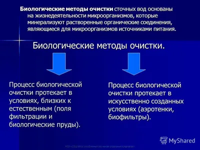 Озонирование воды - технология очистки и обеззараживания | Озон-Монтаж