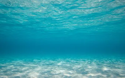 [84+] Океан под водой фото фото