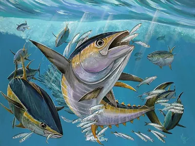 Атлас аннотированный. Морские и океанические рыбы, В. М. Позняковский –  скачать pdf на ЛитРес
