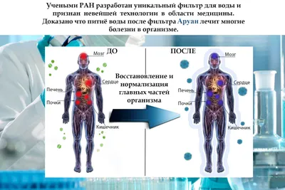 Ваше тело спасает вас каждый день: 5 причин в этом убедиться