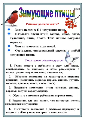 Демонстрационные картинки Зимующие птицы, 16 картинок ТЦ СФЕРА 87369317  купить за 305 ₽ в интернет-магазине Wildberries