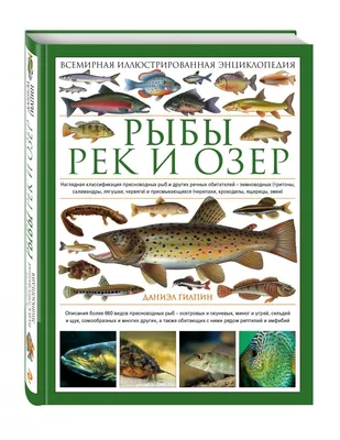 Рыбы (знак зодиака): характеристика, описание, особенности характера  мужчины, женщины и ребенка, совместимость