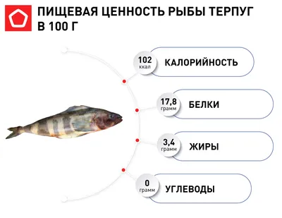 Какую рыбу ловят в Норвегии? - Интернет-магазин товаров для морской рыбалки  Sea Fishing.PRO