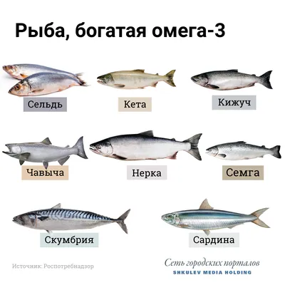 Лидия Васильева: «Для эффективного разведения осетровых нужны инвестиции и  специалисты»