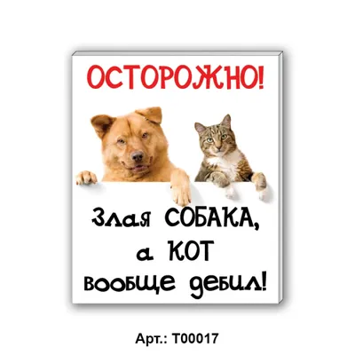 Наклейка 300х200мм \"Осторожно! Злая собака, а кот..\", Арт рэйсинг - купить  с доставкой по выгодным ценам в интернет-магазине OZON (936957339)