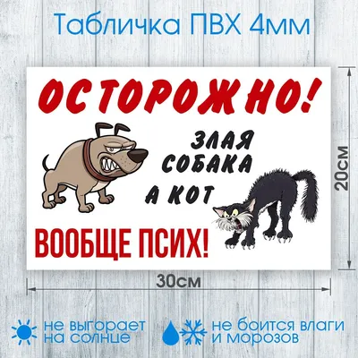 Табличка из светящего металла Собака злая а кот вообще дебил неоновая  светится в темноте ночью (ID#1572746856), цена: 1696 ₴, купить на Prom.ua