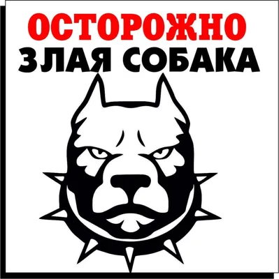 На металле неон Табличка Осторожно собака злой А кот вообще дебил -  светится в темноте ночью изготовим за 1час купить по доступной цене в  интернет-магазине «Турфан-Трейд»