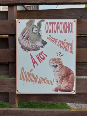 Таблички во дворе злая собака в Минске. Сравнить цены и поставщиков  промышленных товаров на маркетплейсе Deal.by