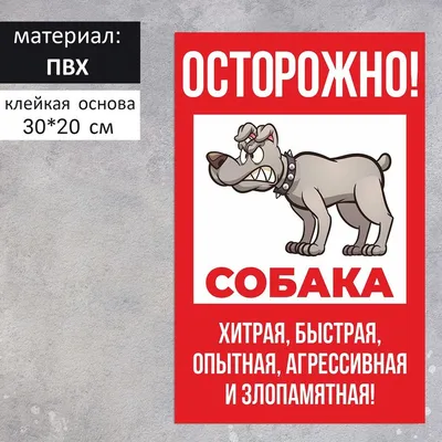 Декоративная табличка \"Осторожно, злая собака\" — купить в интернет-магазине  по низкой цене на Яндекс Маркете