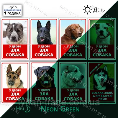 Табличка Осторожно Злая Собака | Купить в Туркестанской области | Цены на  Satu.kz