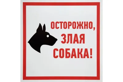 Осторожно злая собака: чувство безопасности в каждом кадре