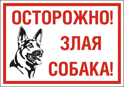 Осторожно злая собака: волшебство, спрятанное в каждом кадре