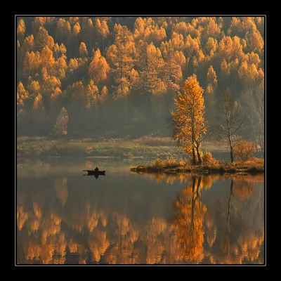 Красивые отражения в воде