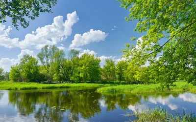 Небо в воде» картина Гомзиной Галины (бумага, акварель) — купить на  ArtNow.ru