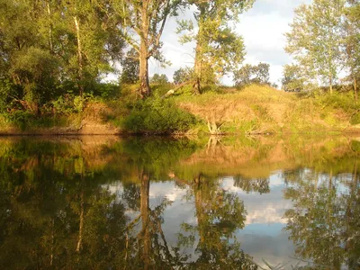 Отражение девушки в воде - красивые фото