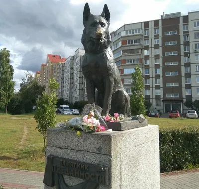 Памятник собаке в тольятти фотографии