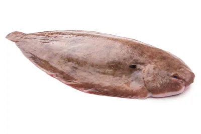 Рыба Филе замороженное Пангасиус - «Активная полемика вокруг пользы и вреда  этой рыбы никак не повлияет на моё к ней отношение. + Рецепт блюда в  духовке.» | отзывы