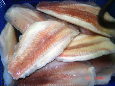 Морской язык (филе пангасиус) замороженный (id 107331210), купить в  Казахстане, цена на Satu.kz