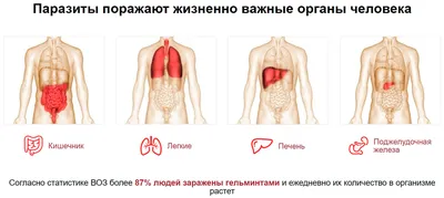 Невероятные изображения чужеродных форм жизни в организме человека | Пикабу