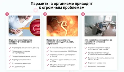 Гельминты — кто они? Чем опасны для человека?