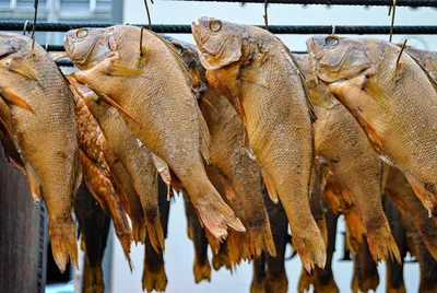 Вяленая рыба. — Рыбалинг — Рыбалка в Эстонии и не только