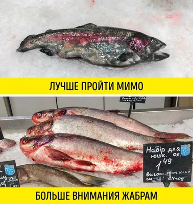 Эксперт рассказал, чем опасна сушеная и копченая рыба - Российская газета