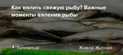 Чем опасна рыба: какие заболевания передаются с речной рыбой - 7 ноября  2021 - v1.ru