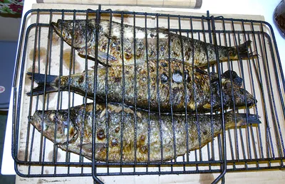 Рыбка на ужин | Пикабу