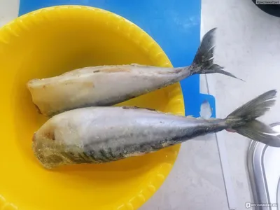 Черви в рыбе : в чем их опасность для человека