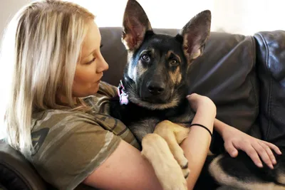 Фото перелома лапы у собаки: использование в видеоролике