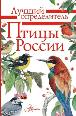 Книга Птицы России. Наглядный карманный определитель - купить в  Издательство «Эксмо», цена на Мегамаркет