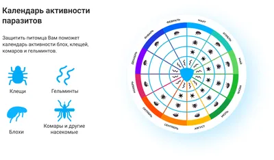 Фотографии с плоскими глистами у собак в реалистичном стиле