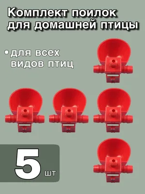 Поилки для птиц - купить с доставкой по выгодным ценам в интернет-магазине  OZON (939378833)